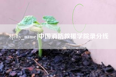 甘肃中国消防救援学院录分线