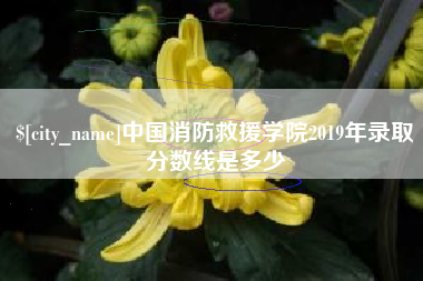 甘肃中国消防救援学院2019年录取分数线是多少