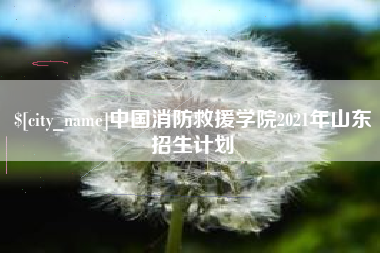甘肃中国消防救援学院2021年山东招生计划