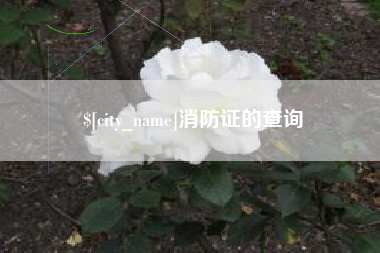 甘肃消防证的查询