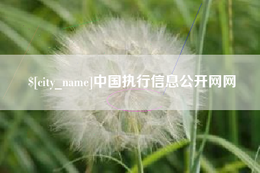 甘肃中国执行信息公开网网