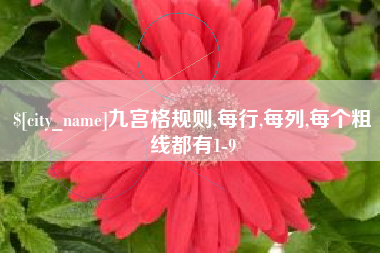 甘肃九宫格规则,每行,每列,每个粗线都有1-9