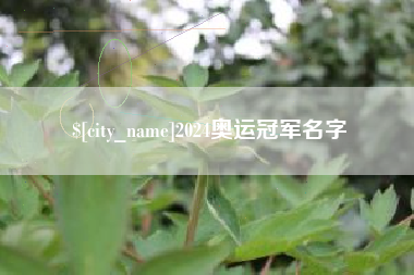 甘肃2024奥运冠军名字