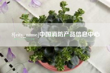 甘肃中国消防产品信息中心