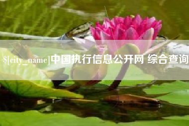 甘肃中国执行信息公开网 综合查询