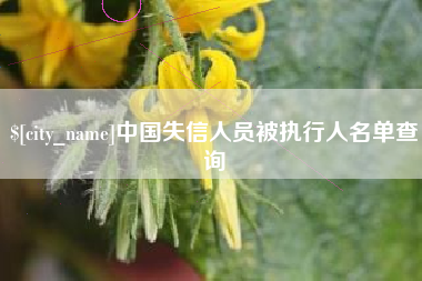 甘肃中国失信人员被执行人名单查询