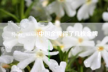 甘肃中国金牌得了几枚金牌