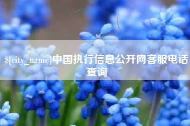 甘肃中国执行信息公开网客服电话查询