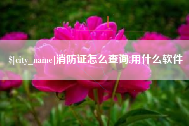 甘肃消防证怎么查询,用什么软件