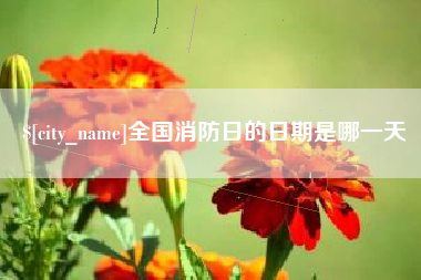 甘肃全国消防日的日期是哪一天