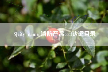 甘肃消防产品cccf认证目录