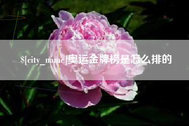 甘肃奥运金牌榜是怎么排的