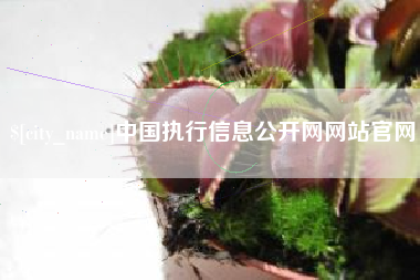 甘肃中国执行信息公开网网站官网