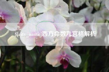 甘肃西方命数九宫格解析