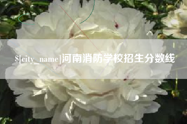 甘肃河南消防学校招生分数线