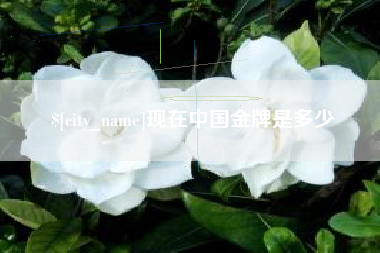 甘肃现在中国金牌是多少