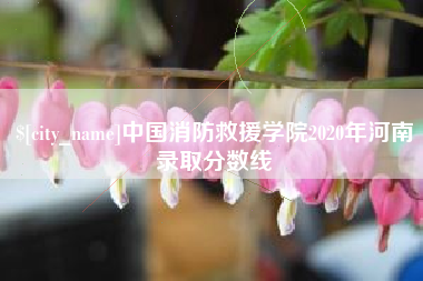 甘肃中国消防救援学院2020年河南录取分数线