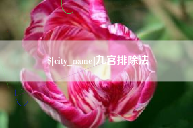 甘肃九宫排除法