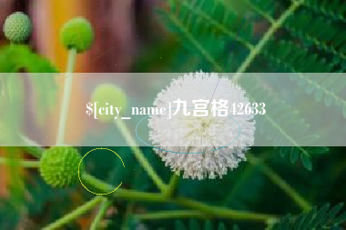 甘肃九宫格42633