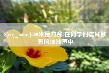 甘肃600米接力赛-在同学们震耳欲聋的加油声中