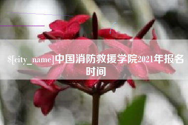 甘肃中国消防救援学院2021年报名时间