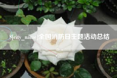 甘肃全国消防日主题活动总结