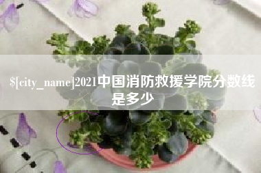 甘肃2021中国消防救援学院分数线是多少