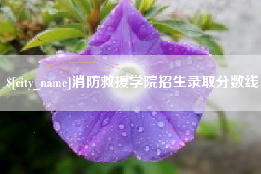 甘肃消防救援学院招生录取分数线