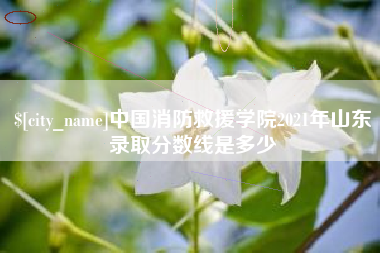 甘肃中国消防救援学院2021年山东录取分数线是多少