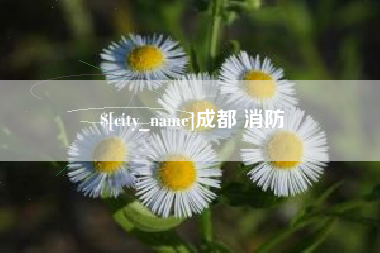 甘肃成都 消防