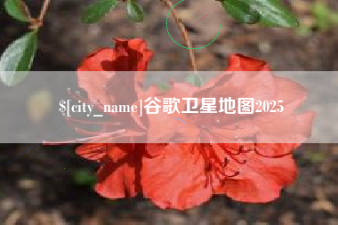 甘肃谷歌卫星地图2025