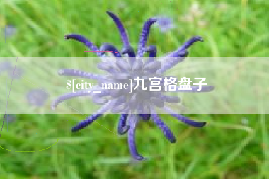 甘肃九宫格盘子
