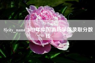 甘肃2021年中国消防学院录取分数线