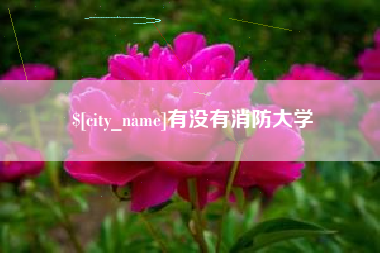 甘肃有没有消防大学