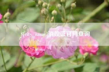 甘肃消控证官网查询