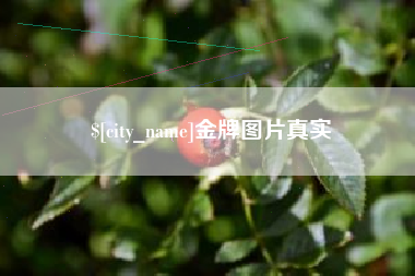 甘肃金牌图片真实