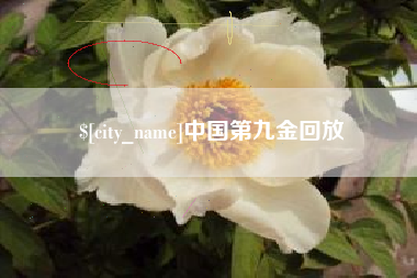 甘肃中国第九金回放