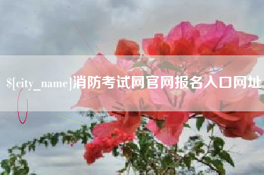 甘肃消防考试网官网报名入口网址
