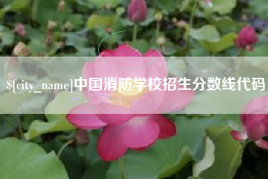 甘肃中国消防学校招生分数线代码