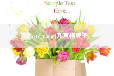 甘肃九宫格牌子