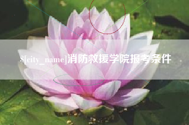 甘肃消防救援学院报考条件