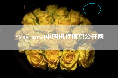 甘肃中国执行信息公开网