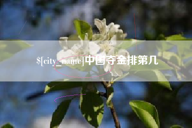 甘肃中国夺金排第几