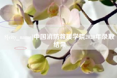 甘肃中国消防救援学院2020年录取结果