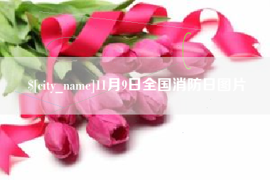甘肃11月9日全国消防日图片