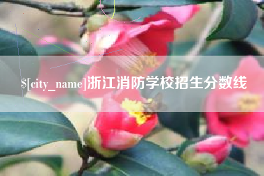 甘肃浙江消防学校招生分数线
