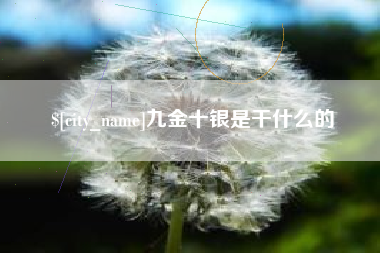 甘肃九金十银是干什么的