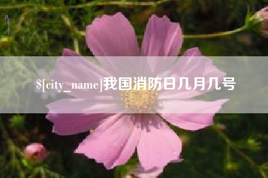 甘肃我国消防日几月几号