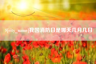甘肃我国消防日是哪天几月几日