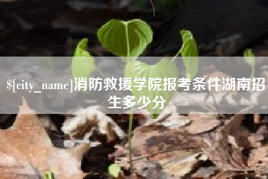 甘肃消防救援学院报考条件湖南招生多少分